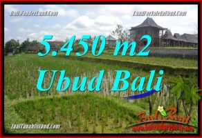 Tanah Dijual di Ubud Bali 5,450 m2  View sawah, lingkungan Villa