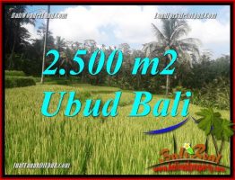 Investasi Properti, Tanah Murah Dijual di Ubud TJUB690