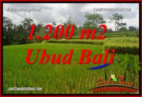 Tanah Dijual di Ubud 12 Are View sawah, lingkungan Villa