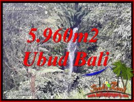Tanah Murah jual di Ubud Bali 5,960 m2 View sawah dan sungai