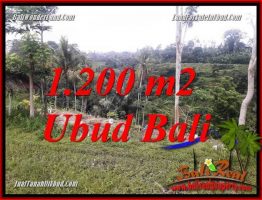Investasi Property, jual Murah Tanah di Ubud Bali TJUB699
