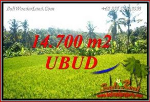 Investasi Property, Tanah Murah di Ubud Bali Dijual TJUB717
