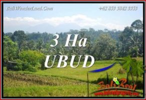 Tanah Murah di Ubud jual 300 Are View Sawah, Gunung dan Sungai
