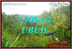 Tanah Murah di Ubud 7,900 m2 View Tebing dan sungai