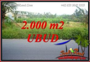 Investasi Properti, Dijual Tanah di Ubud TJUB737